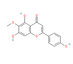 2D structure of the orthosteric ligand