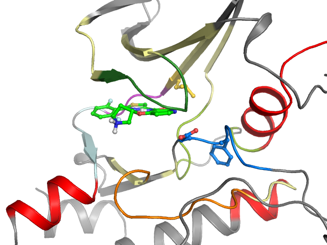 The orthosteric binding pocket