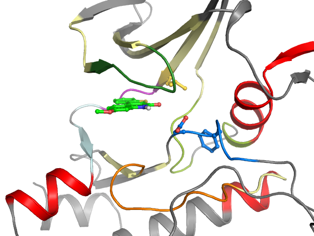 The orthosteric binding pocket