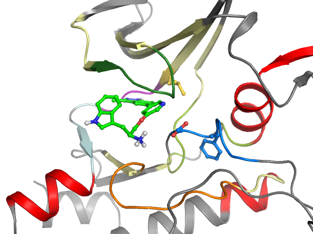 The orthosteric binding pocket