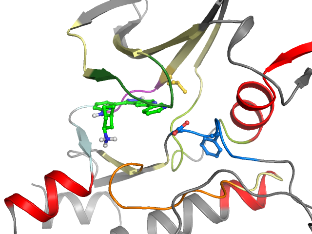The orthosteric binding pocket