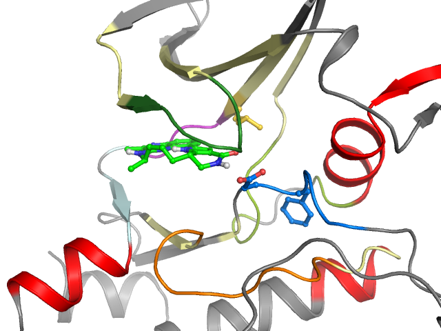 The orthosteric binding pocket