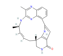 2D structure of the orthosteric ligand