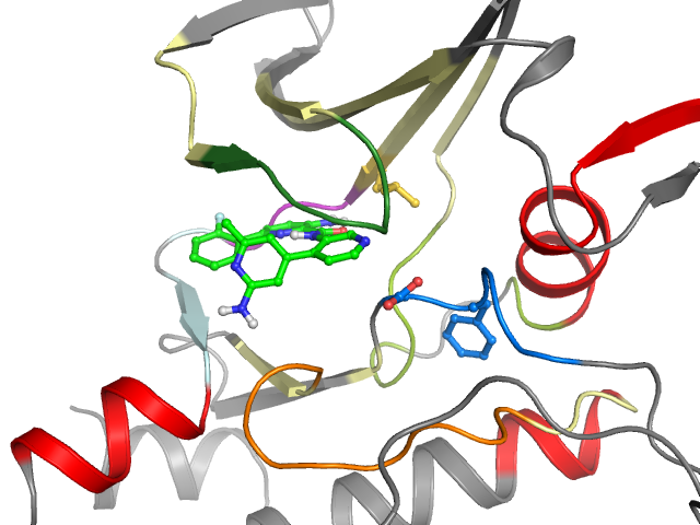 The orthosteric binding pocket