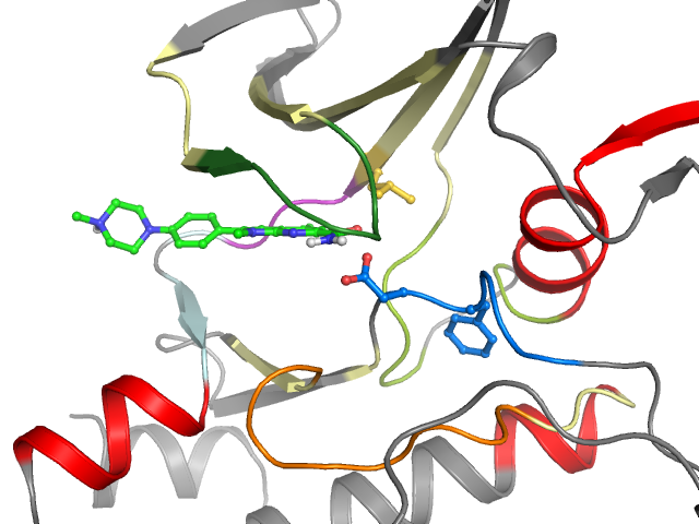 The orthosteric binding pocket