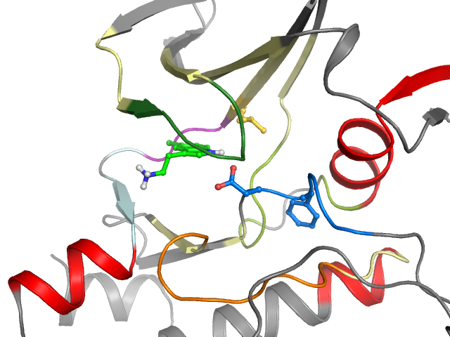 The orthosteric binding pocket