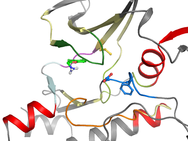 The orthosteric binding pocket