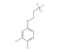 2D structure of the orthosteric ligand