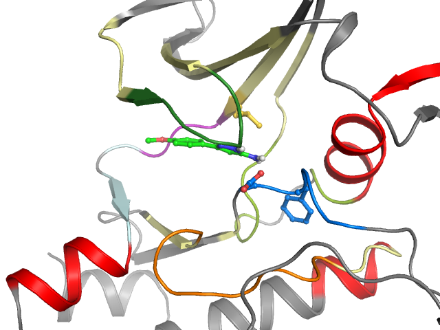 The orthosteric binding pocket