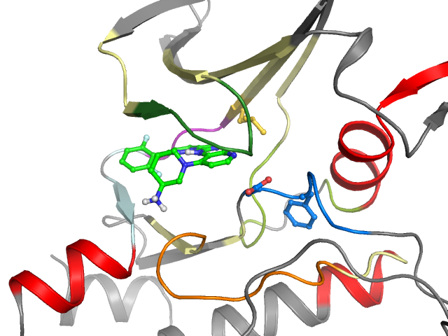 The orthosteric binding pocket