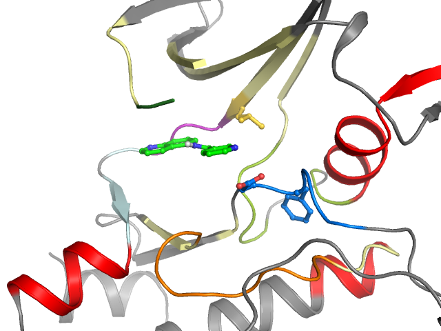 The orthosteric binding pocket