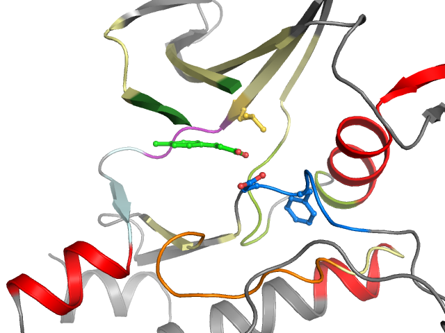 The orthosteric binding pocket