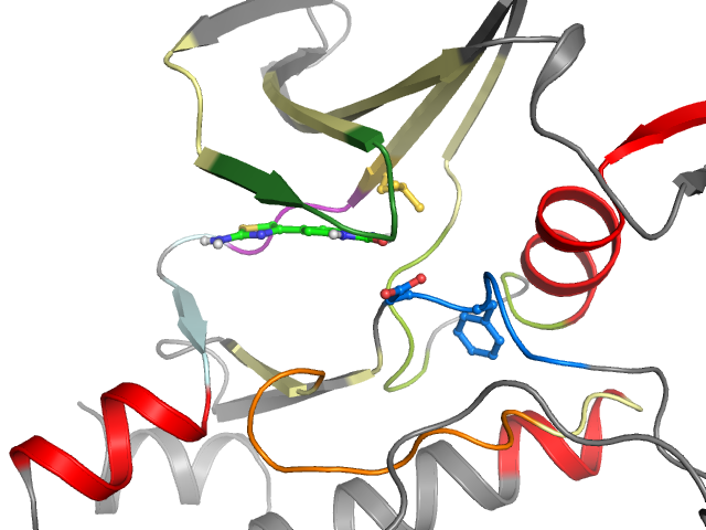 The orthosteric binding pocket