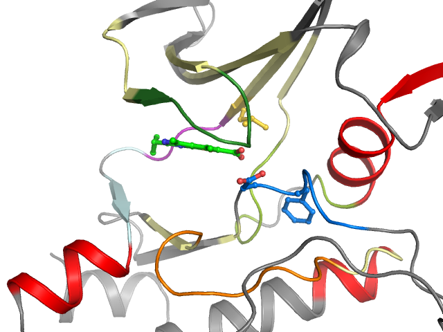 The orthosteric binding pocket
