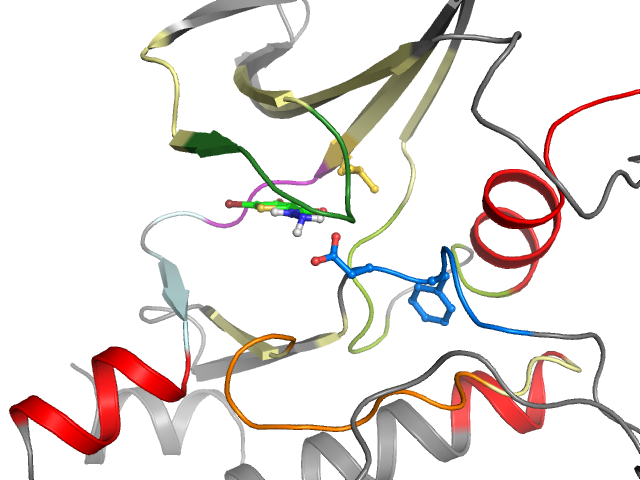 The orthosteric binding pocket
