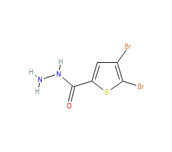 2D structure of the orthosteric ligand