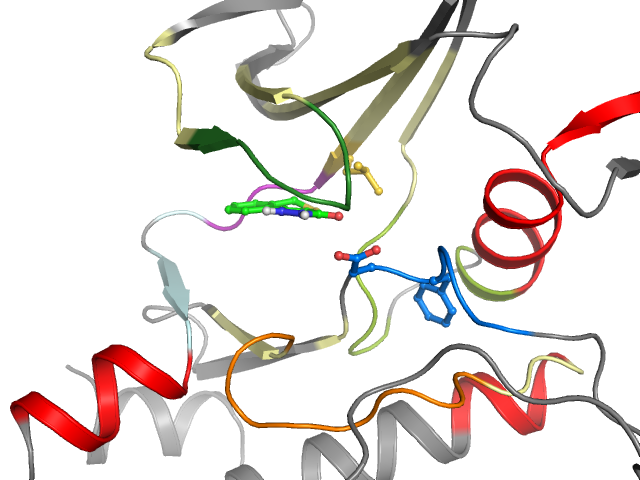 The orthosteric binding pocket