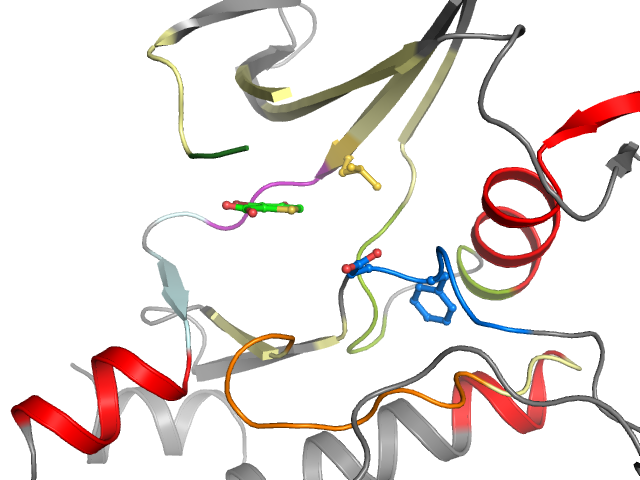 The orthosteric binding pocket