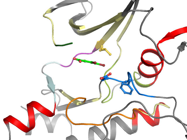 The orthosteric binding pocket