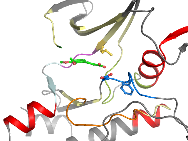 The orthosteric binding pocket