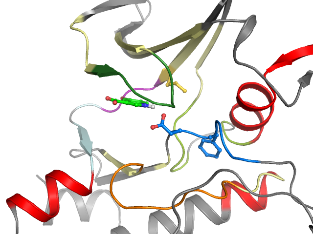 The orthosteric binding pocket