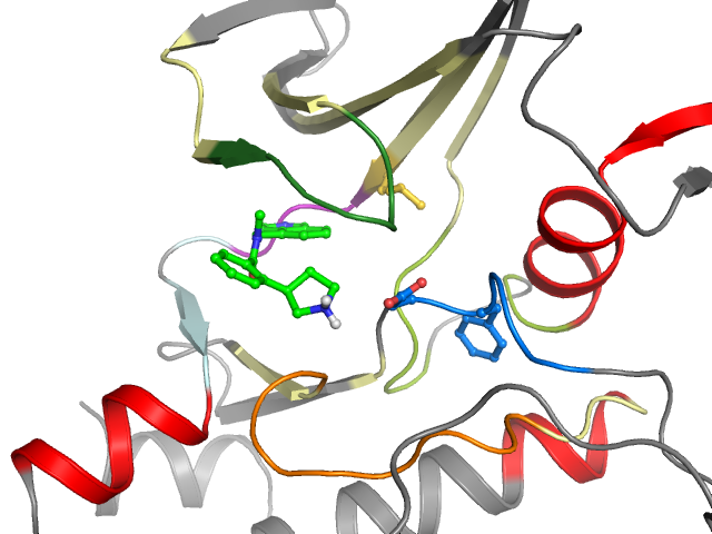 The orthosteric binding pocket
