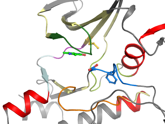 The orthosteric binding pocket