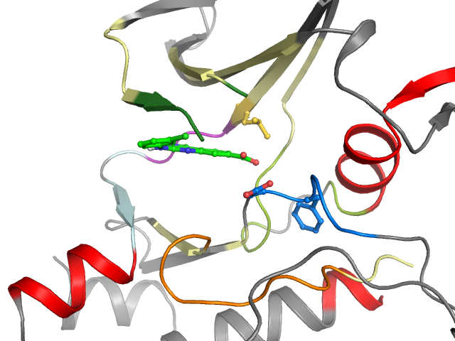 The orthosteric binding pocket