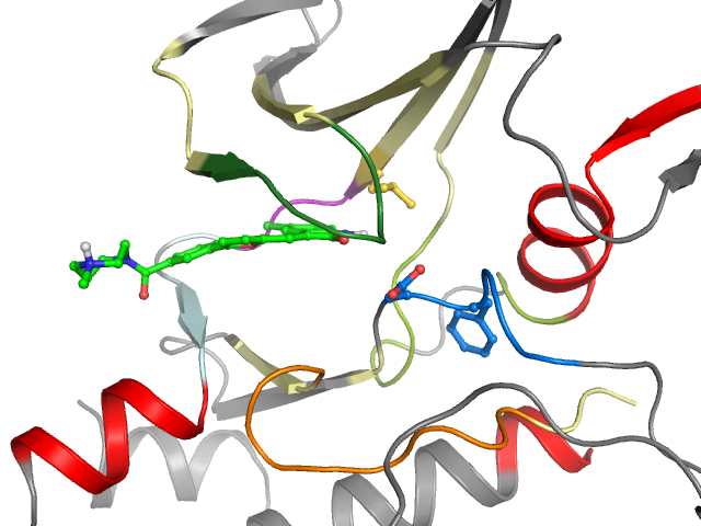 The orthosteric binding pocket