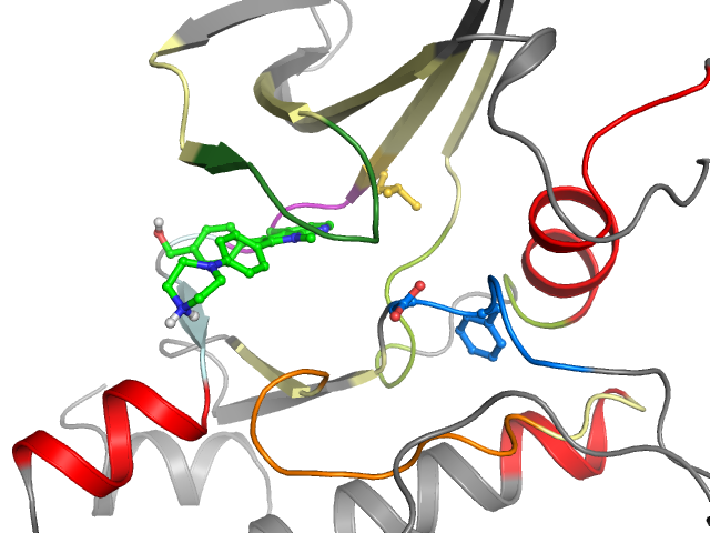 The orthosteric binding pocket