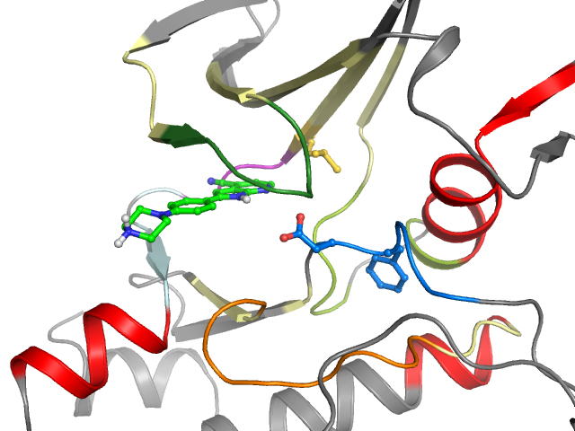 The orthosteric binding pocket
