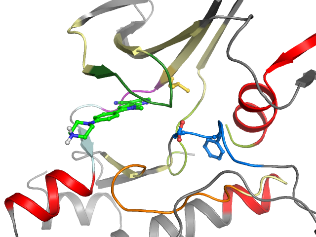 The orthosteric binding pocket