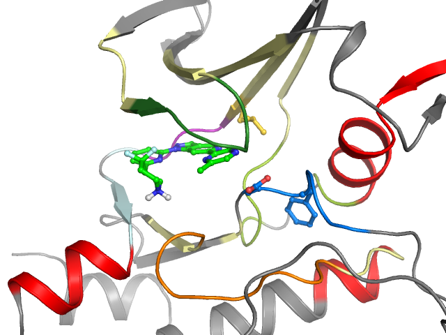 The orthosteric binding pocket