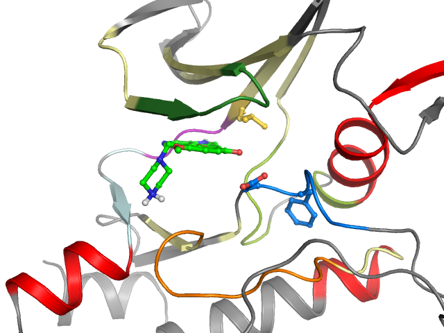The orthosteric binding pocket
