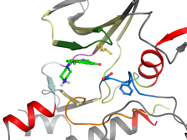 The orthosteric binding pocket