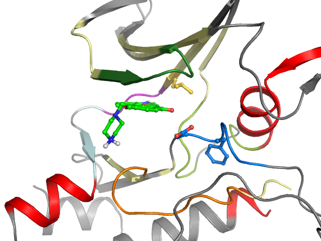 The orthosteric binding pocket