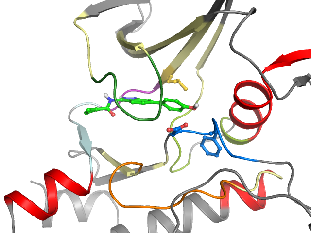 The orthosteric binding pocket