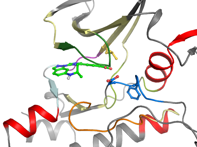 The orthosteric binding pocket