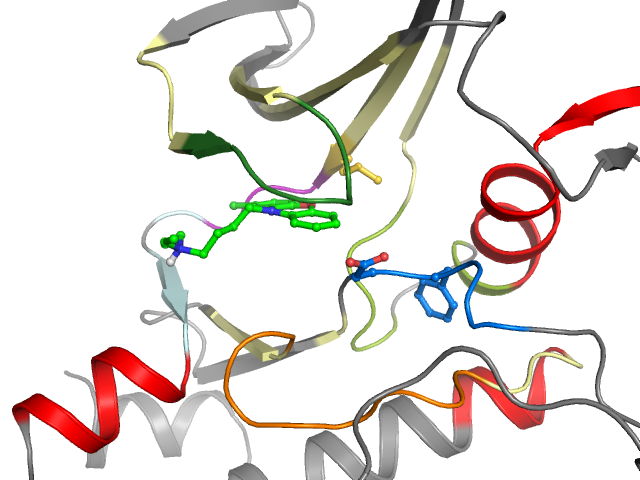 The orthosteric binding pocket