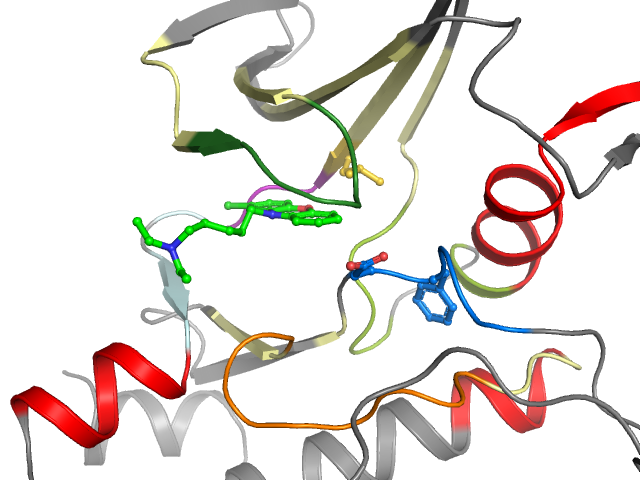 The orthosteric binding pocket