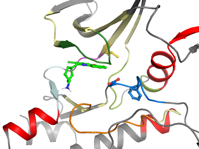The orthosteric binding pocket