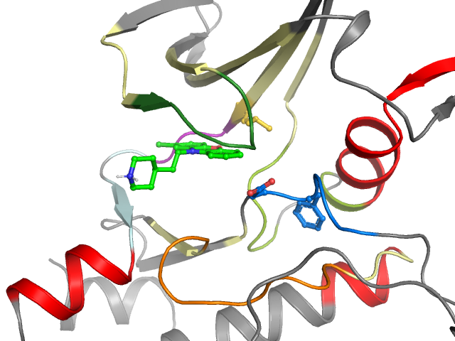 The orthosteric binding pocket