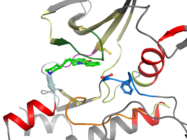 The orthosteric binding pocket
