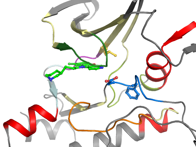The orthosteric binding pocket