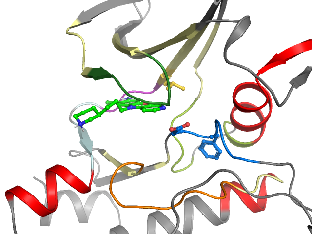 The orthosteric binding pocket