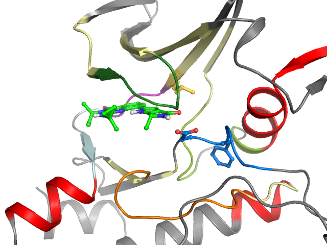 The orthosteric binding pocket