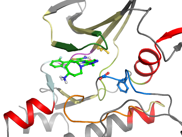 The orthosteric binding pocket