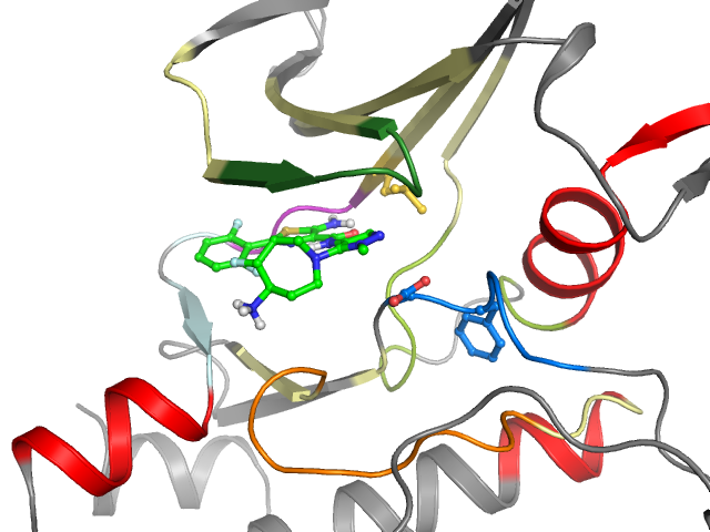 The orthosteric binding pocket
