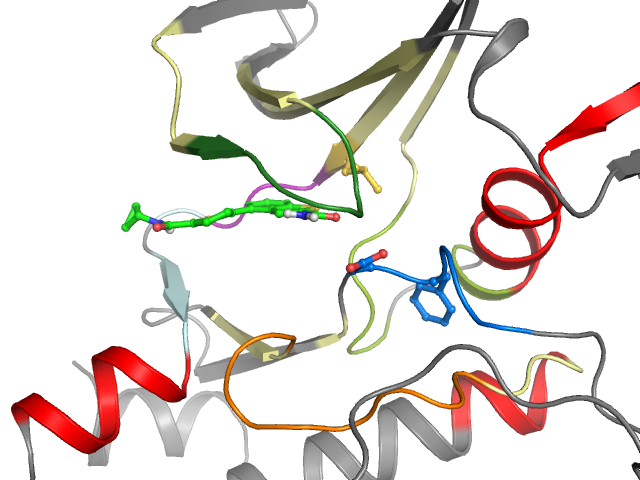 The orthosteric binding pocket