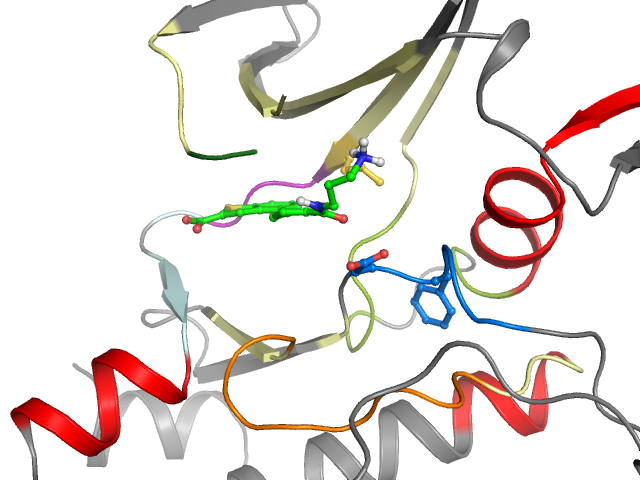 The orthosteric binding pocket